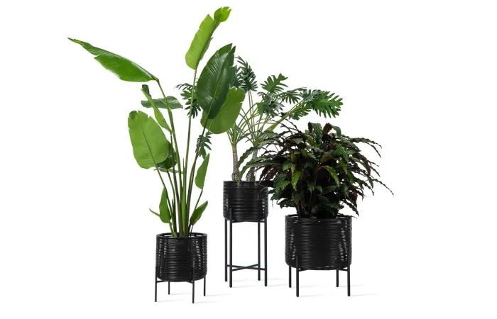 Ivo plant stand ls1