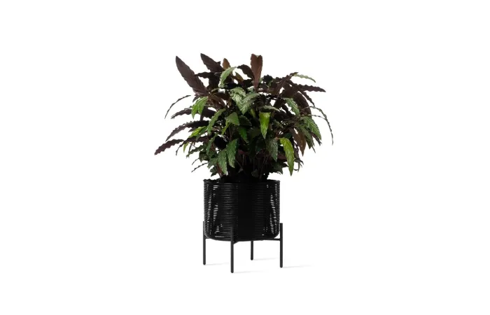 Ivo plant stand ls3 medium