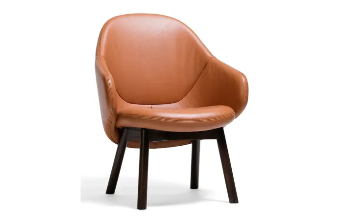 Albu Lounge Armchair 363 1