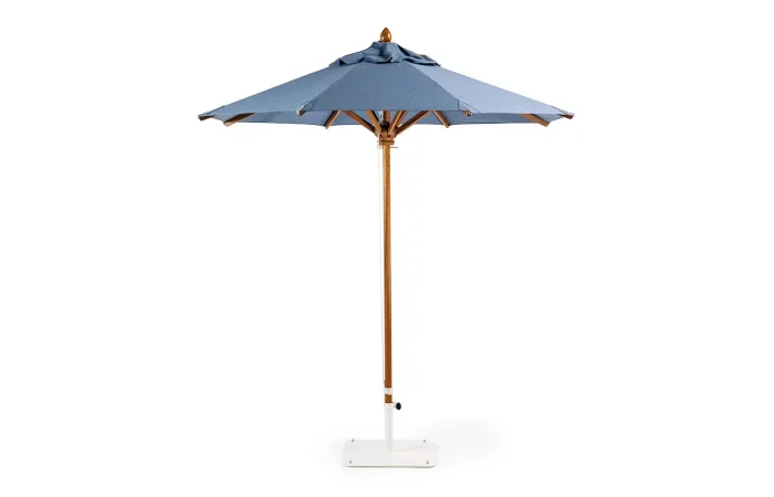 Classic umbrella 1